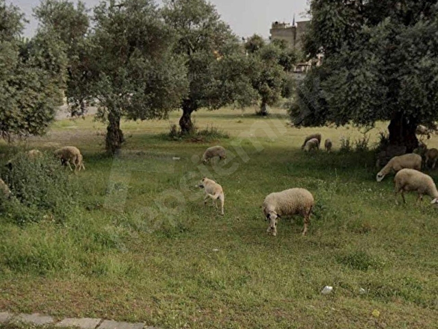İncirliovada Okul Karşısı ticari+konut 6 Kat İmarlı Köşe Parsel - Görsel 9