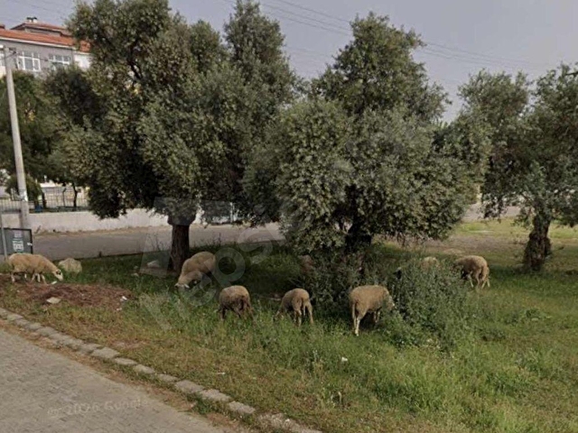 İncirliovada Okul Karşısı ticari+konut 6 Kat İmarlı Köşe Parsel - Görsel 8