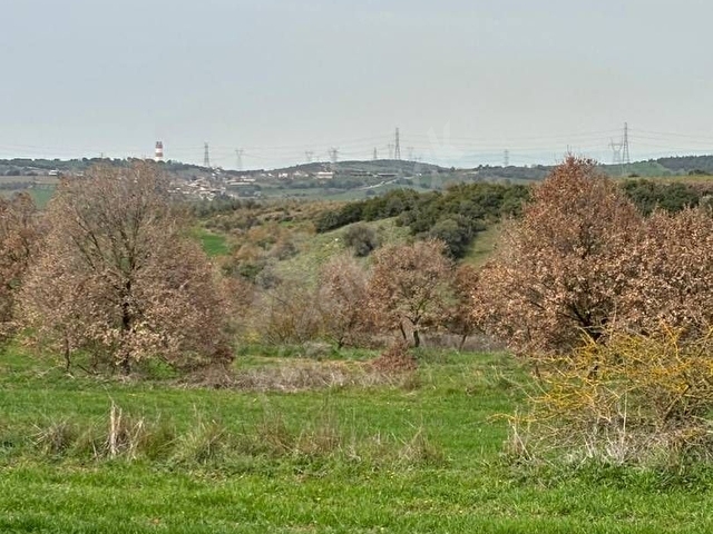 DENİZE YAKIN. 3 DÖNÜM TARLA.. 650 BİN TL - Görsel 9