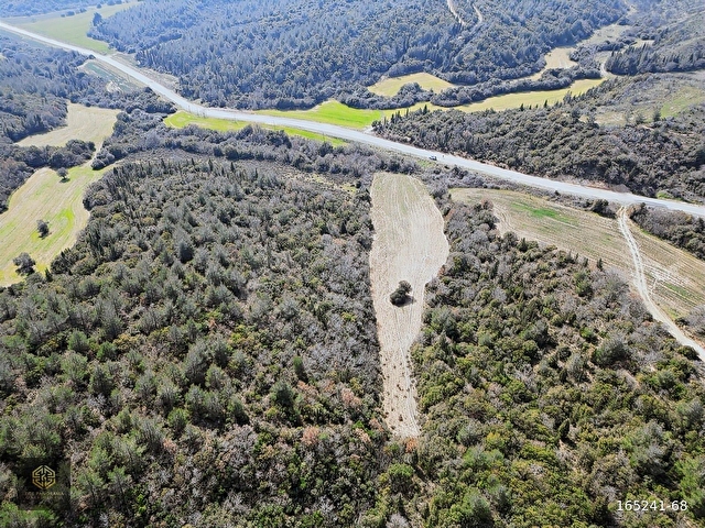EGE PANORAMADAN ASFALT KENARI ZEYTİNLİK - Görsel 11