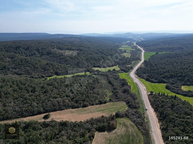 EGE PANORAMADAN ASFALT KENARI ZEYTİNLİK - Görsel 4