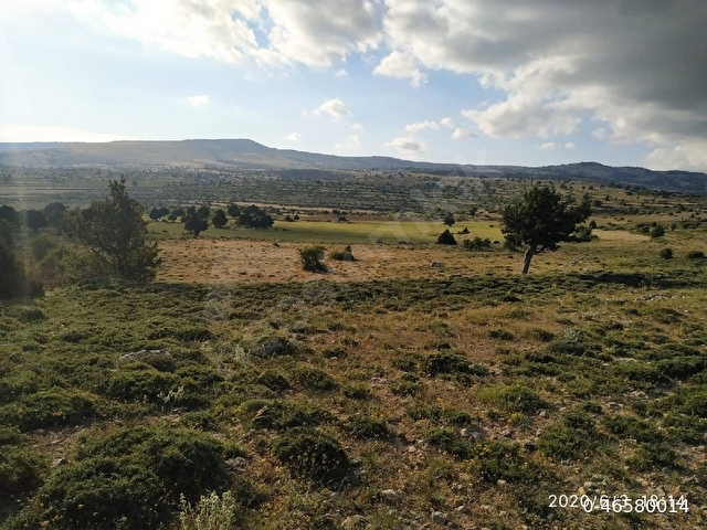 Satılık Tarla
