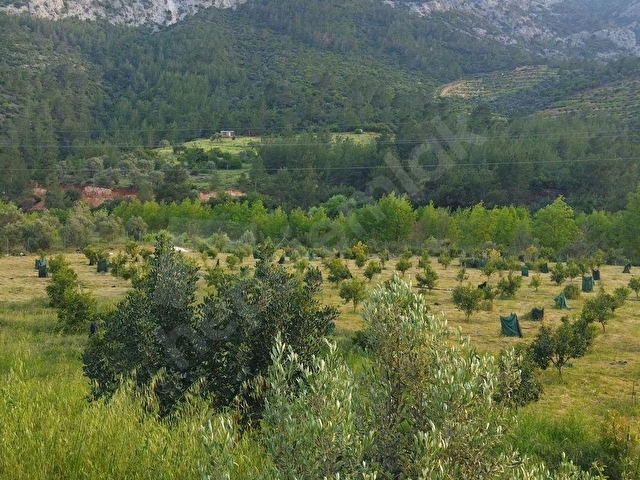 SİLİFKE - KONYA YOLU KENARINDA YATIRIMLIK 3.862 M2 SATILIK BAHÇE