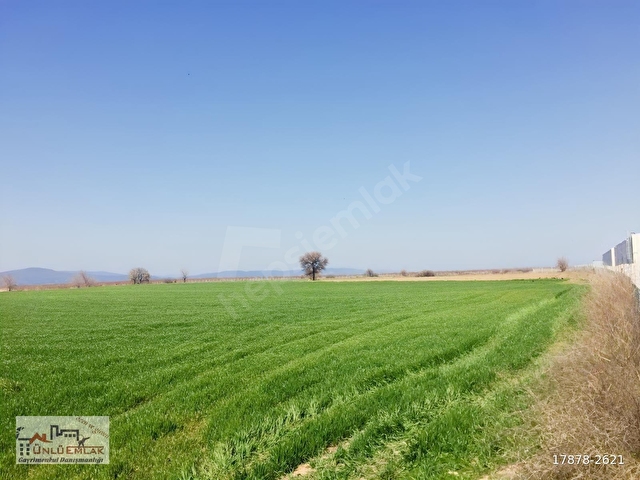 Çanakkale Özbek Köyünde Deniz Manzaralı 12.937 m² Satılık Tarla - Görsel 8