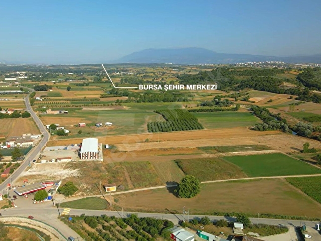 BURSA MUDANYA ÇEKRİCE de SATILIK ARAZİ YATIRIMA UYGUN KÖYE YAKIN ORMANA CEPHE TARLA - Görsel 14