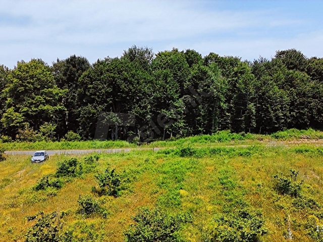 Ana Asfalta Sıfır -12.136 m² Tarla vasıflı | 100 m Yola Cepheli - Görsel 22