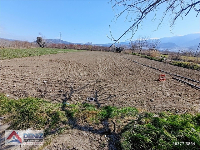 Gürsu İstiklal Satılık