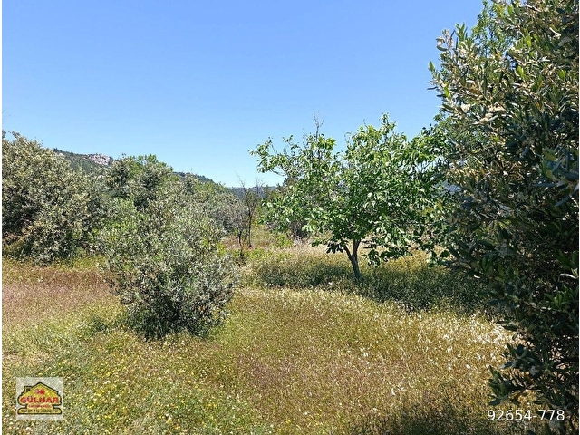 KÖY YERLEŞİM ALANINDA SATILIK 1365 M2 SATILIK ARSA