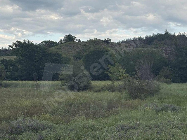 ANAYOL ÜZERİ MUHTEŞEM TARLA 3000m2 ve 2606 m2 - Görsel 9