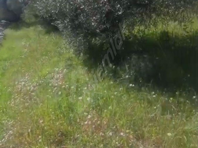 YATIRIMLIK ARAYANA İDAEL KACMAZ BİR YER - Görsel 24