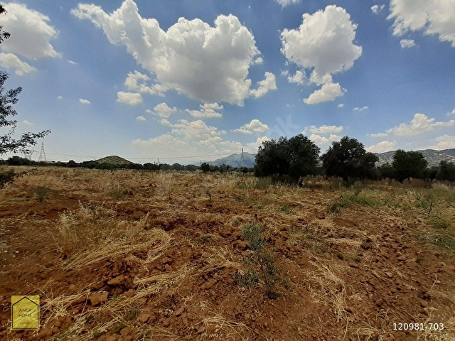 Antalya Döşemealtı Ilıcada 13.752 m² Satılık Hazır Çiftlik Arazisi - Görsel 6
