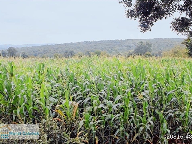 KİRALIK KANDIRA ANA CADDE ÜSTÜNDE 1000M2 İMALATHANE ÇİFTLİK - Görsel 4