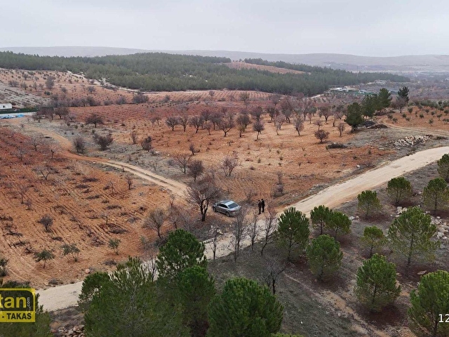 SUBOĞAZ ORMAN MAZARALI YATIRIM VE BAĞ EVİ İÇİN UYGUN ARAZİ