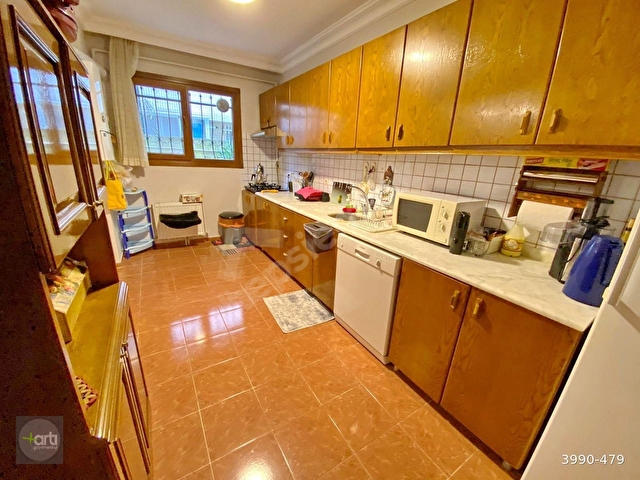 arti dan idealtepe sahilde evcil hayvan