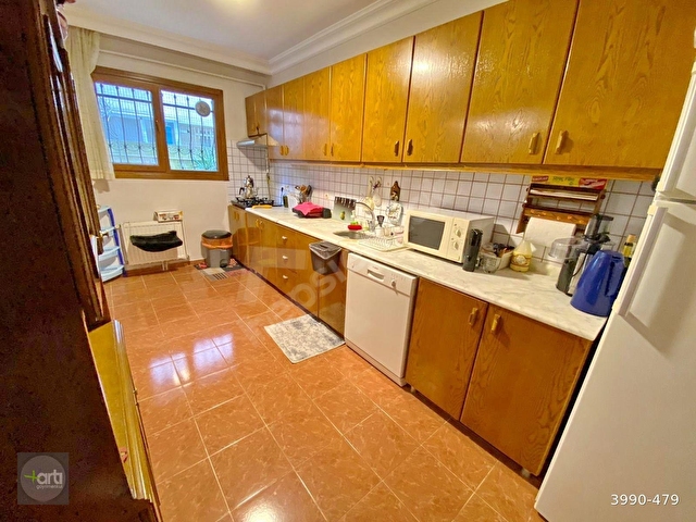 arti dan idealtepe sahilde evcil hayvan