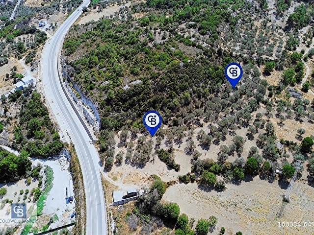 Mordoğanda Denize 500 m Mesafede Zeytin Ağaçlı Tarla - Görsel 21