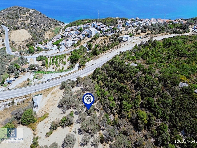 Mordoğanda Denize 500 m Mesafede Zeytin Ağaçlı Tarla - Görsel 15