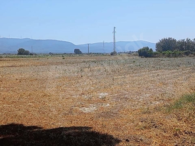 Bodrum Mumcular da 2.560 m2 Tarla Anayola 15 mt - Görsel 22