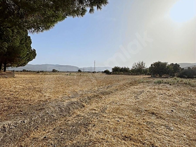 Bodrum Mumcular da 2.560 m2 Tarla Anayola 15 mt - Görsel 29