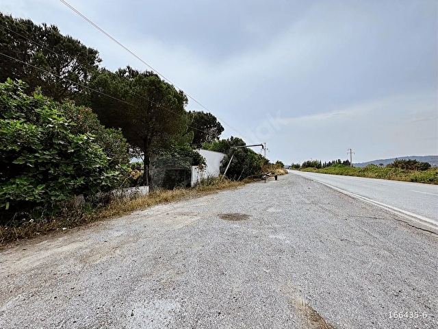 Bodrum Mumcular da 2.560 m2 Tarla Anayola 15 mt - Görsel 15
