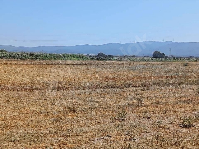 Bodrum Mumcular da 2.560 m2 Tarla Anayola 15 mt - Görsel 24