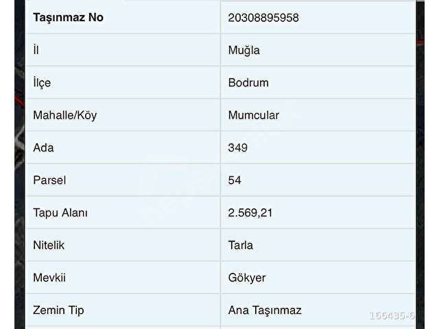 Bodrum Mumcular da 2.560 m2 Tarla Anayola 15 mt - Görsel 9