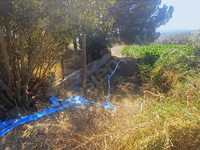 Bodrum Mumcular da 2.560 m2 Tarla Anayola 15 mt - Görsel 26