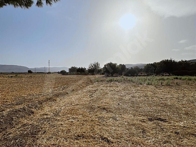 Bodrum Mumcular da 2.560 m2 Tarla Anayola 15 mt - Görsel 28
