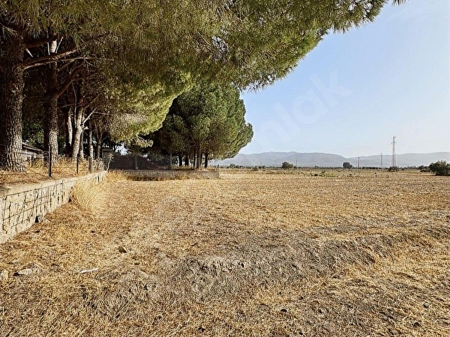 Bodrum Mumcular da 2.560 m2 Tarla Anayola 15 mt - Görsel 30