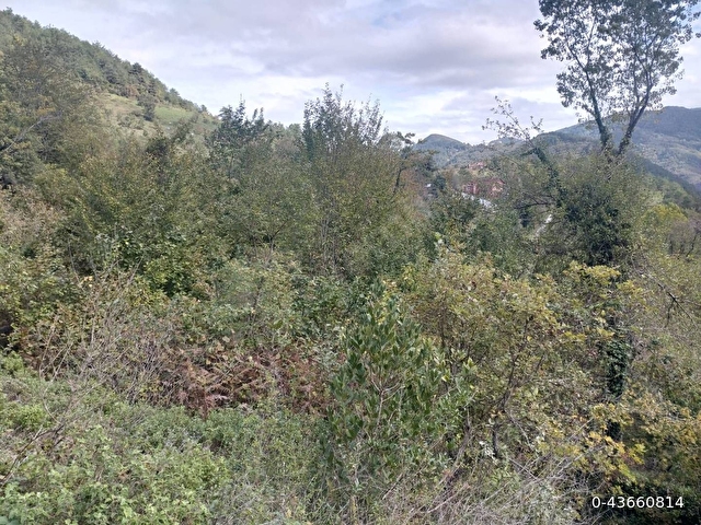 Sahibinden satılık müstakil tapulu yolu olan arsa - Görsel 3