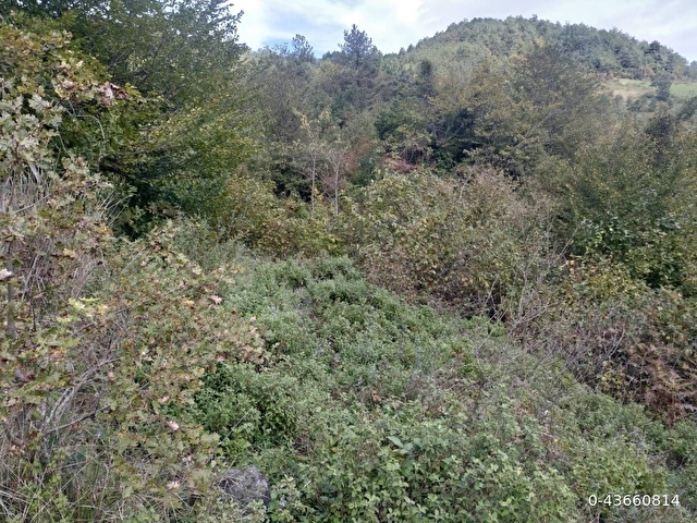 Sahibinden satılık müstakil tapulu yolu olan arsa - Görsel 5