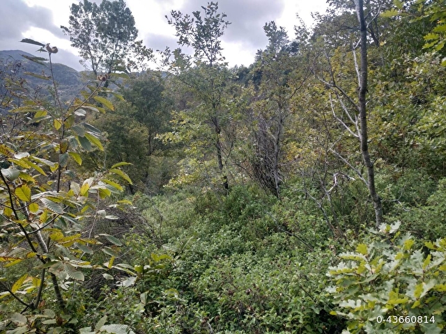 Sahibinden satılık müstakil tapulu yolu olan arsa - Görsel 14