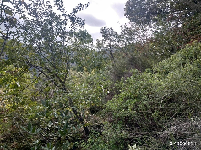 Sahibinden satılık müstakil tapulu yolu olan arsa - Görsel 16