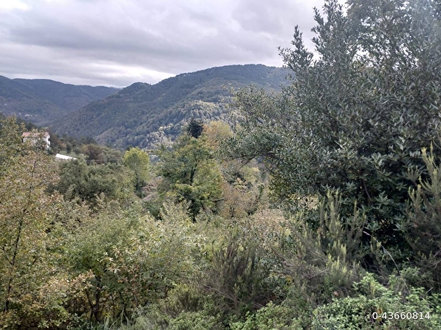 Sahibinden satılık müstakil tapulu yolu olan arsa - Görsel 17