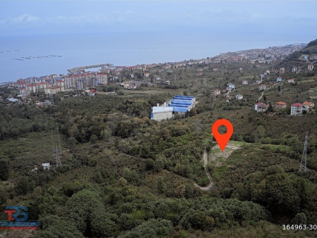 ARSİNİN EN GÜZEL ARSASI TRABZON GAYRİMENKULDEN SATILIK - Görsel 5