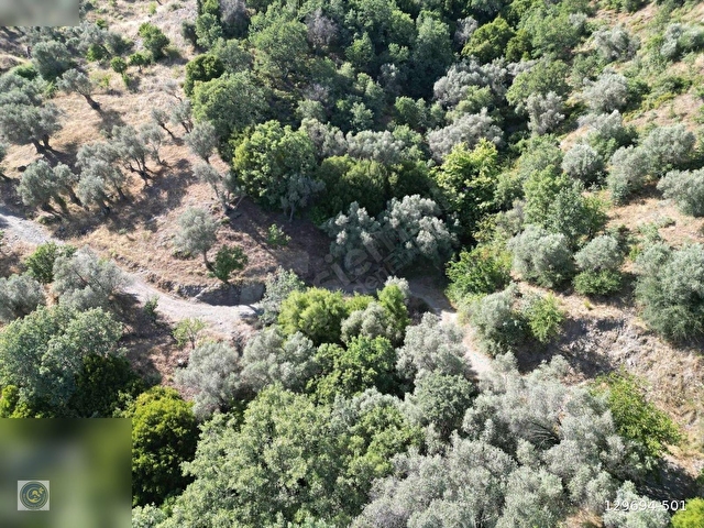 İzmir Seferihisar Gödence de Satılık İmarlı Arsa - Görsel 5