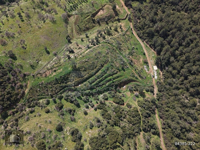 SEFERİHİSAR ORHANLIDA YOLA CEPHE 12.850 m² ELEKTRİK SU HAZIR - Görsel 21