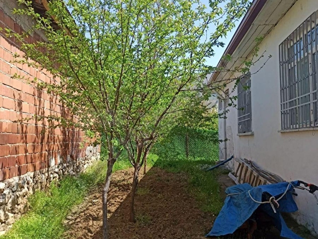 SATILIK BAHÇELİ EV - Görsel 24