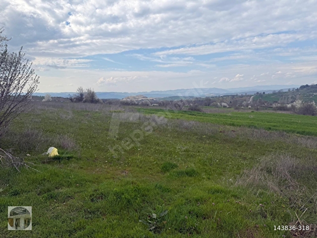 BİLECİK AKADEMİ EMLAKTAN SATILIK 3 ADET 4.203 m² TARLA - Görsel 22