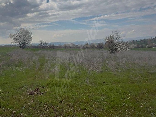BİLECİK AKADEMİ EMLAKTAN SATILIK 3 ADET 4.203 m² TARLA - Görsel 16