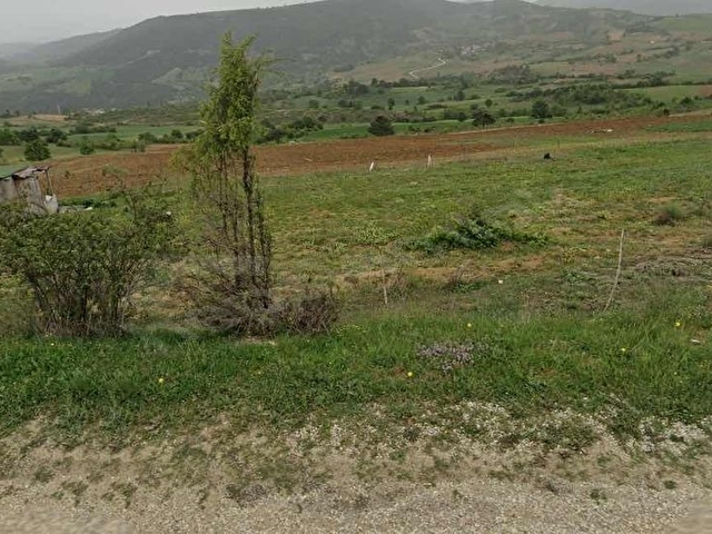 Geyve Karacaörende Yola Cepheli, Eşsiz Manzaralı - Görsel 4