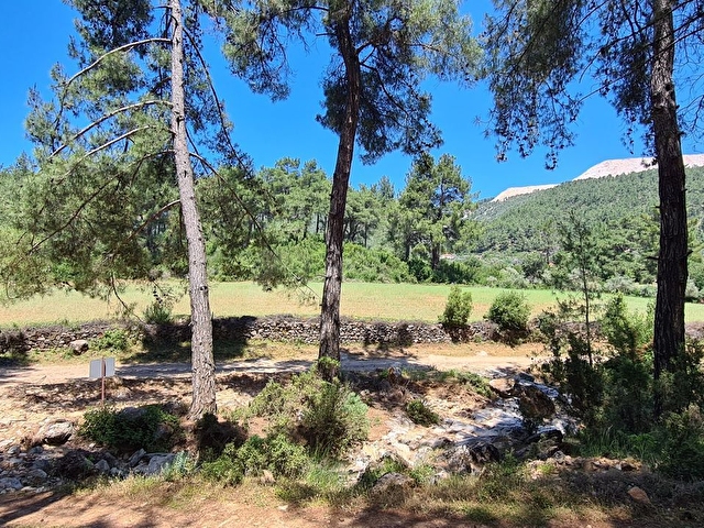 Muğla Yatağan Kozağaç Yatırımlık Arsa 24901090 hepsiemlak