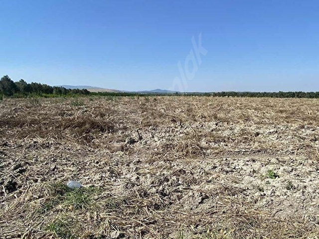 AKHİSAR A 18 KM MECİDİYE MAH SATILIK 11 DÖNÜM BOŞ TARLA
