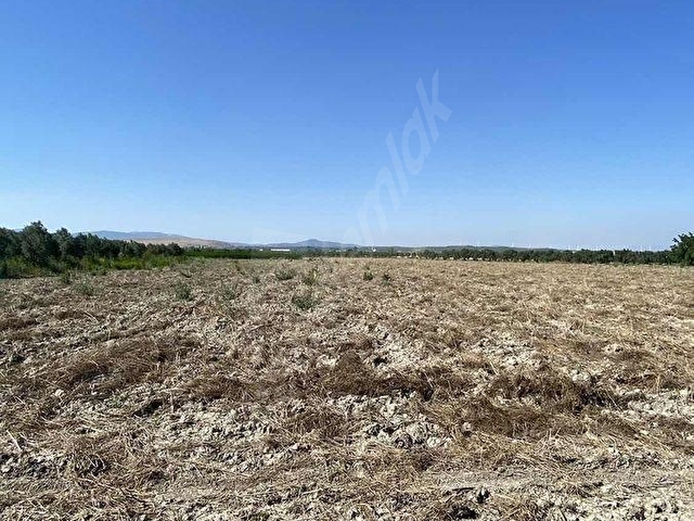 AKHİSAR A 18 KM MECİDİYE MAH SATILIK 11 DÖNÜM BOŞ TARLA - Görsel 12