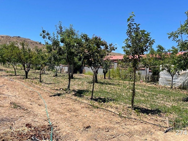 İzmir Seferihisar Kavakderede satılık yola cepheli 10 dönüm bahçe ve bağ evi - Görsel 14
