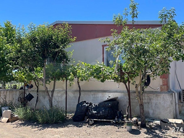 İzmir Seferihisar Kavakderede satılık yola cepheli 10 dönüm bahçe ve bağ evi - Görsel 4