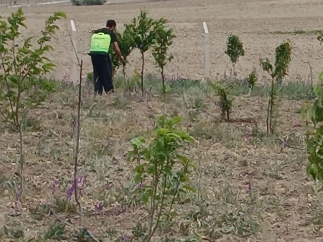 GÖLBAŞI EMİRLER DE 14 DÖNÜM TEK TAPULU SATILIK BAĞ EVLİ TARLA+BAHÇE - Görsel 3