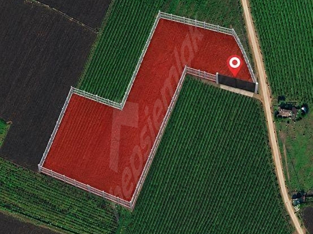 YENİ HARMANDALI MH SATILIK 16.500 m2 SÜPER TARLA