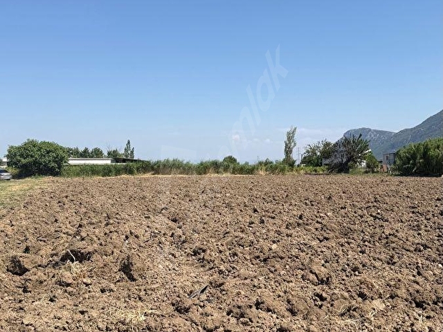 YENİ HARMANDALI MH SATILIK 16.500 m2 SÜPER TARLA - Görsel 2