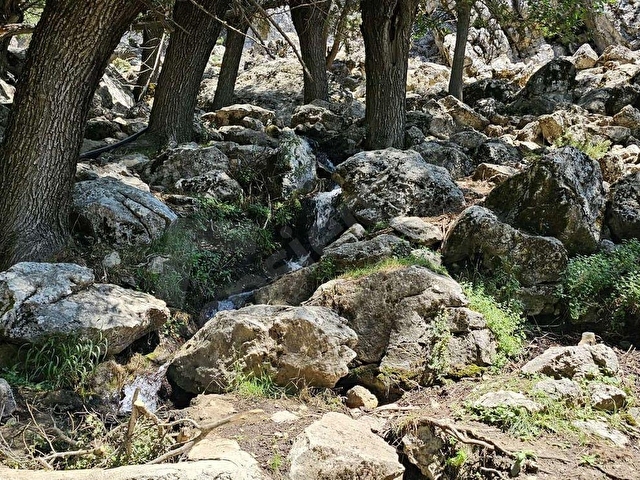 BURDUR KARTALPINAR  -SU KAYNAĞI YANINDA - Görsel 5